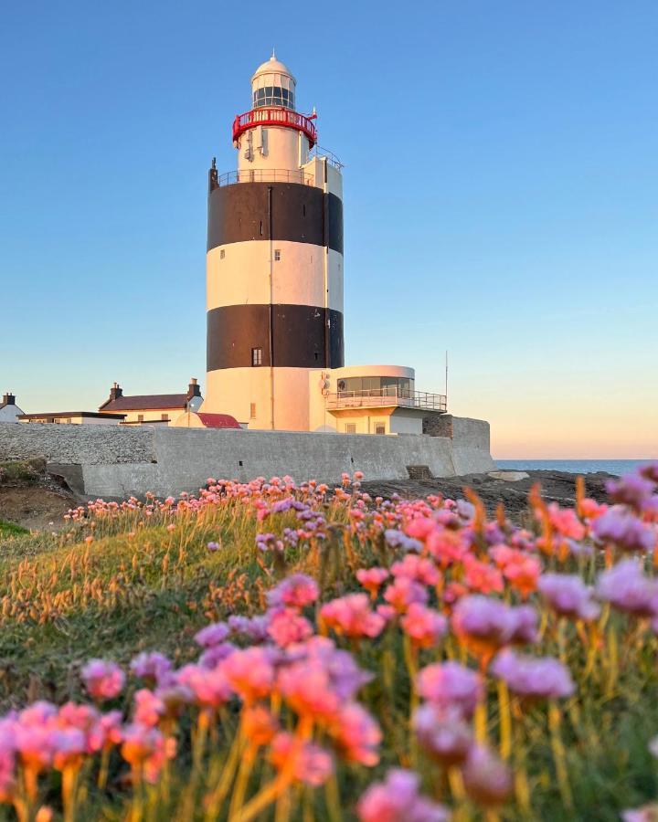 Thistledown Lodge Fethard-on-Sea Dış mekan fotoğraf