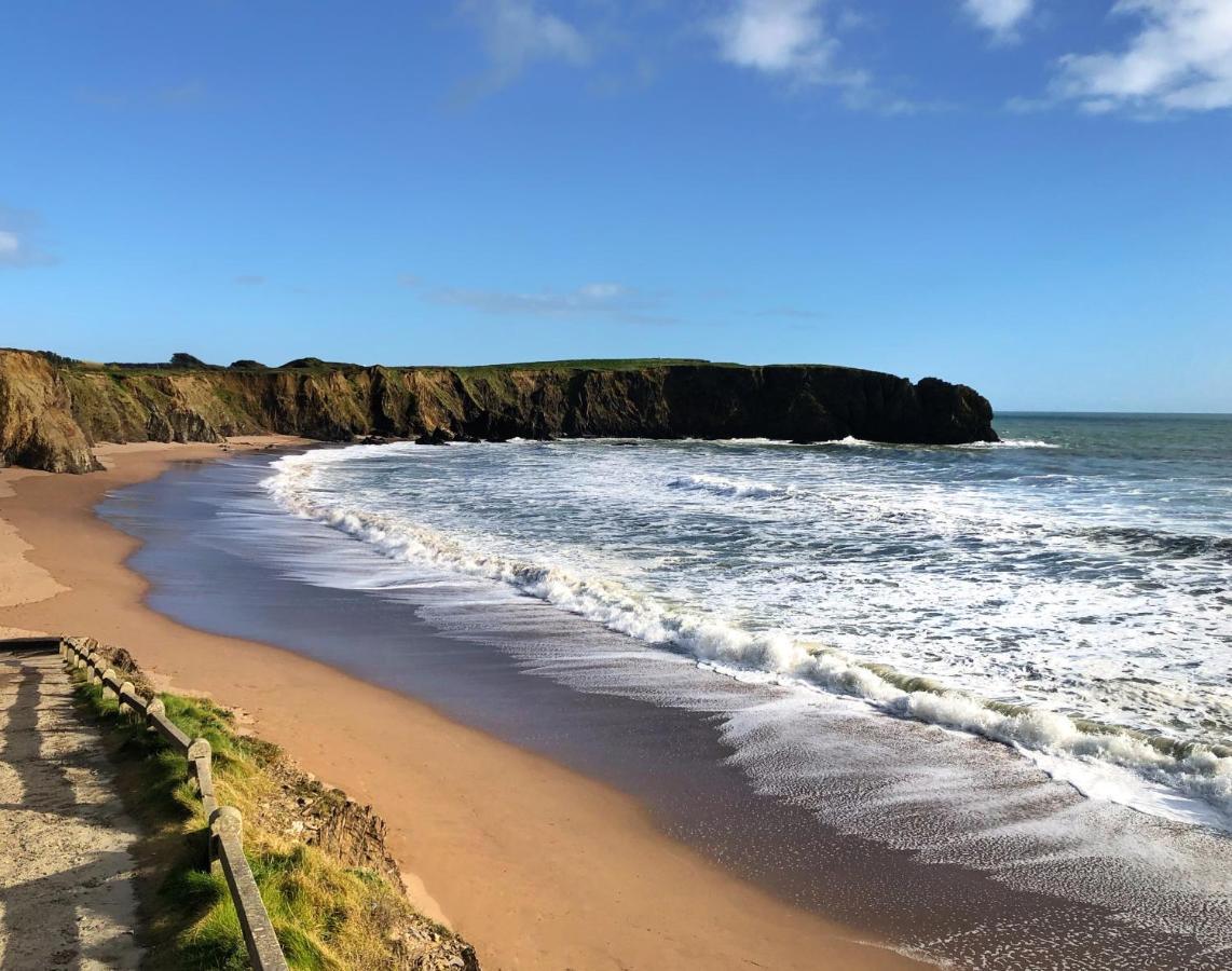 Thistledown Lodge Fethard-on-Sea Dış mekan fotoğraf