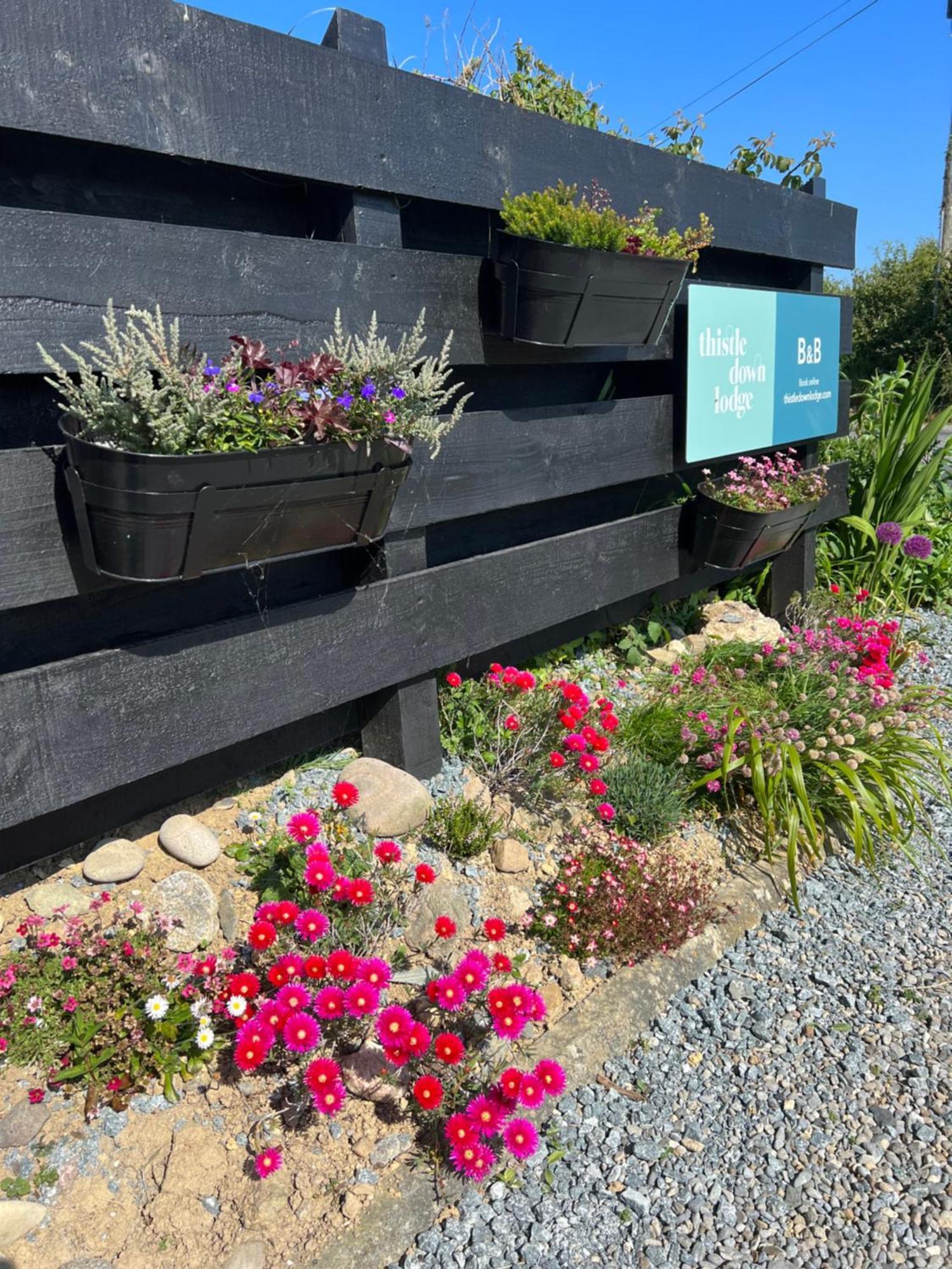 Thistledown Lodge Fethard-on-Sea Dış mekan fotoğraf