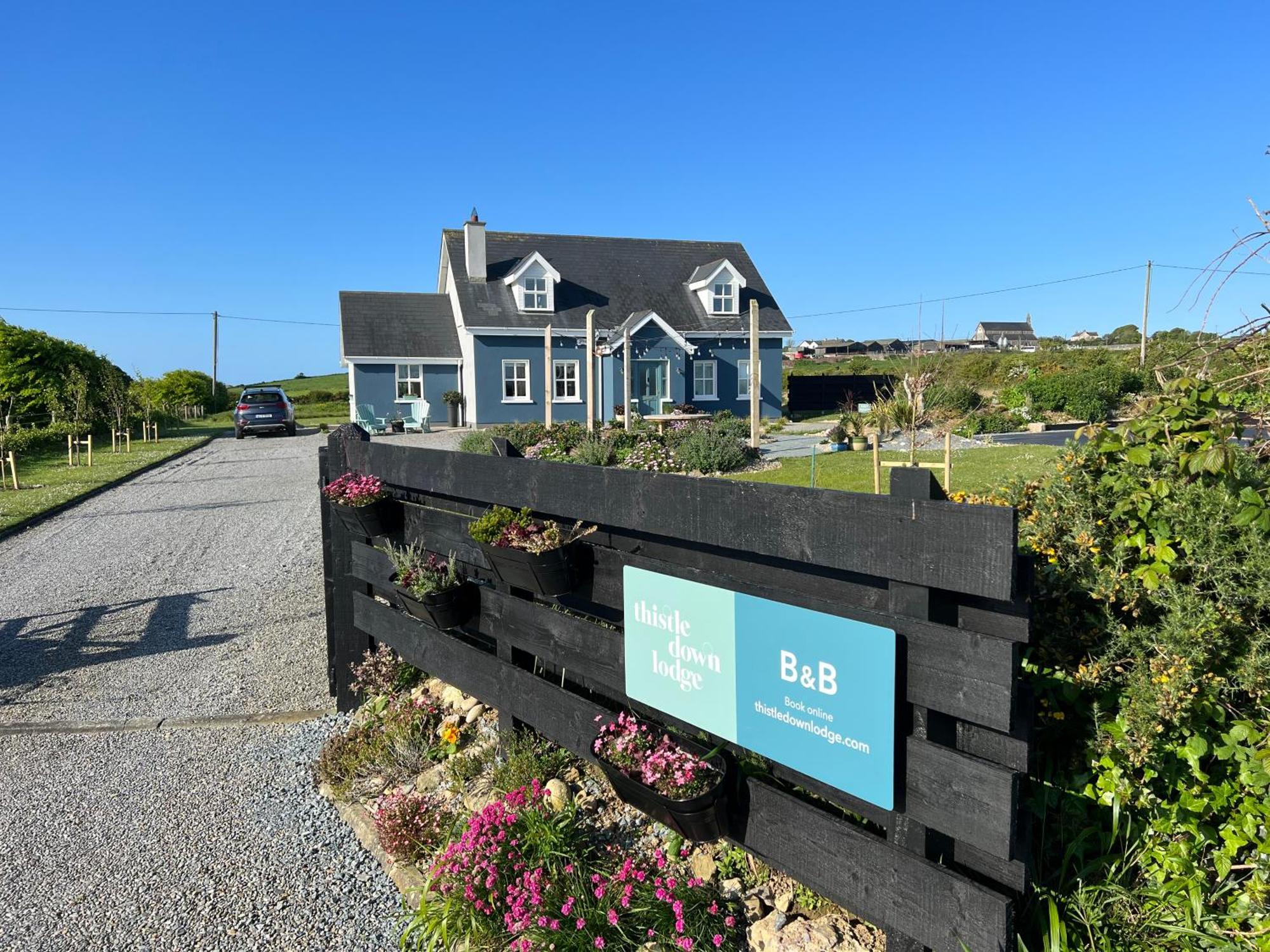 Thistledown Lodge Fethard-on-Sea Dış mekan fotoğraf