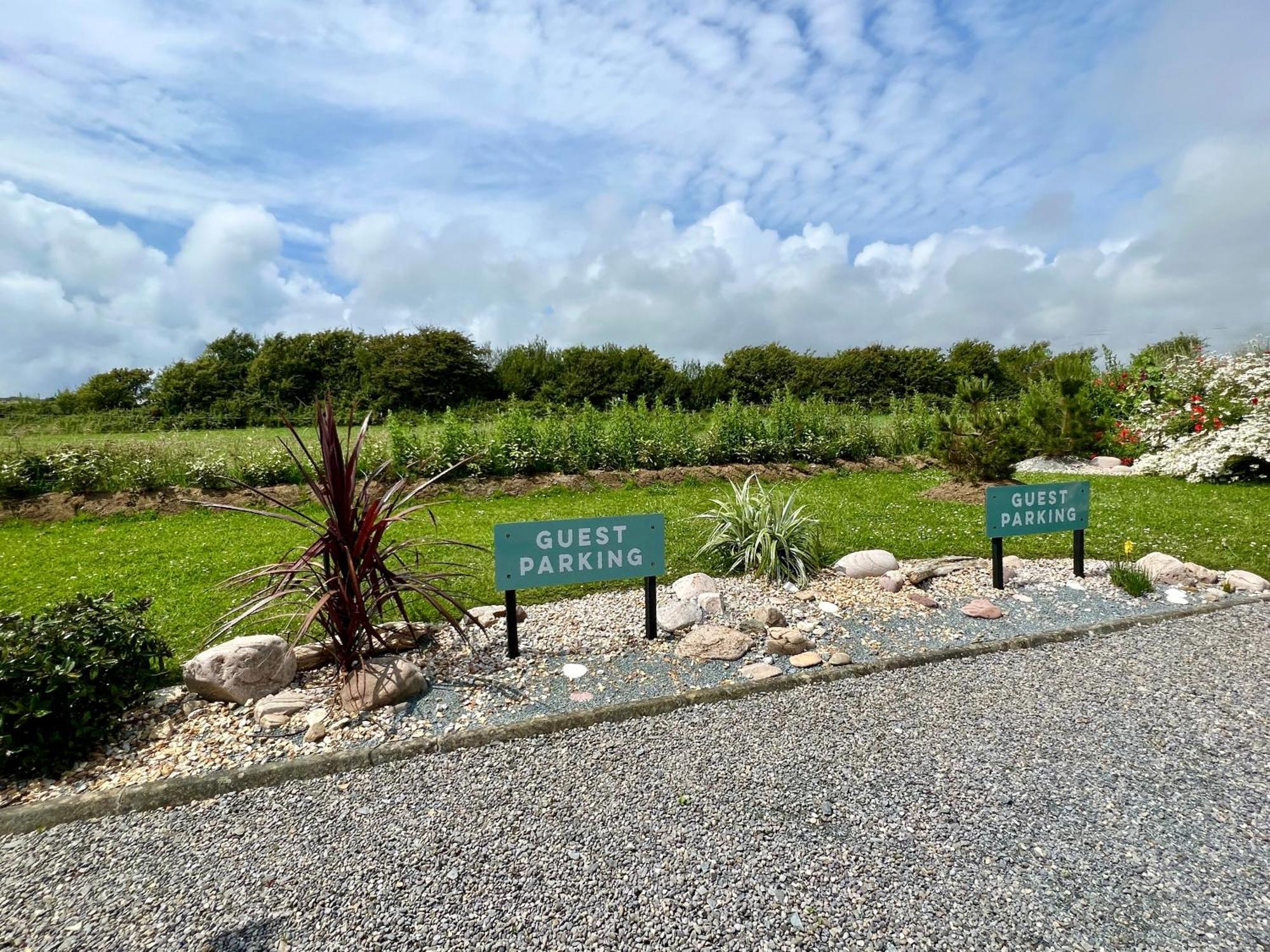Thistledown Lodge Fethard-on-Sea Dış mekan fotoğraf
