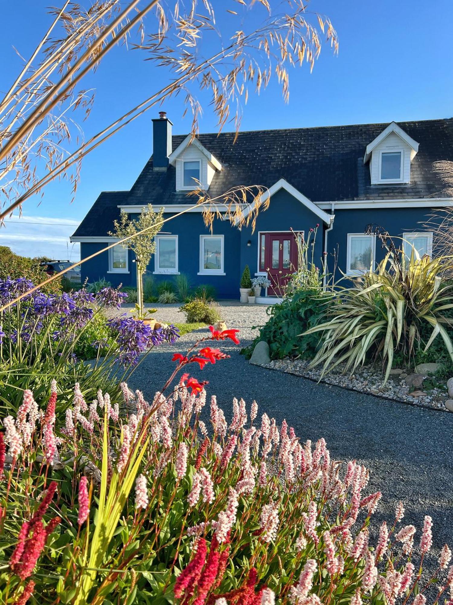 Thistledown Lodge Fethard-on-Sea Dış mekan fotoğraf